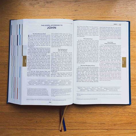 Great Adventure Catholic Bible Large Print Edition Rsv Translation