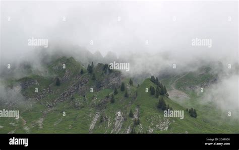 Summer Scene In The Swiss Alps On A Rainy Misty Day Steep Green