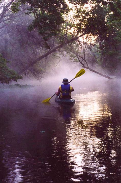 Wekiwa springs state park website. Wekiwa Springs