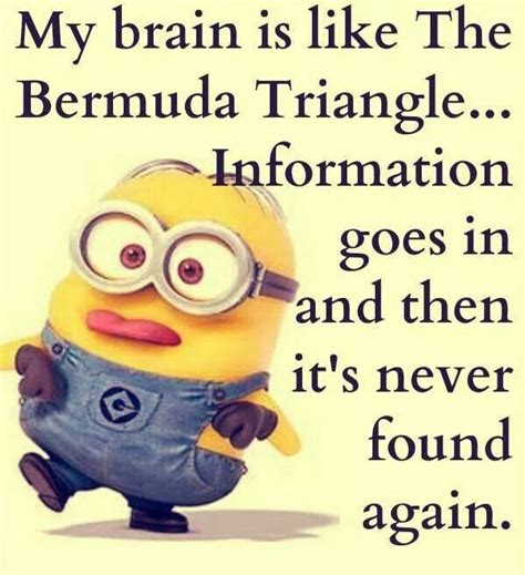 Pin By E Stacey On Minions Minions Funny Funny Minion Quotes Funny