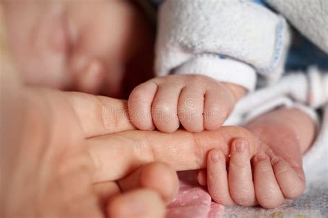 Hands Newborn Baby Stock Photo Image Of Newborn Hands 48134090