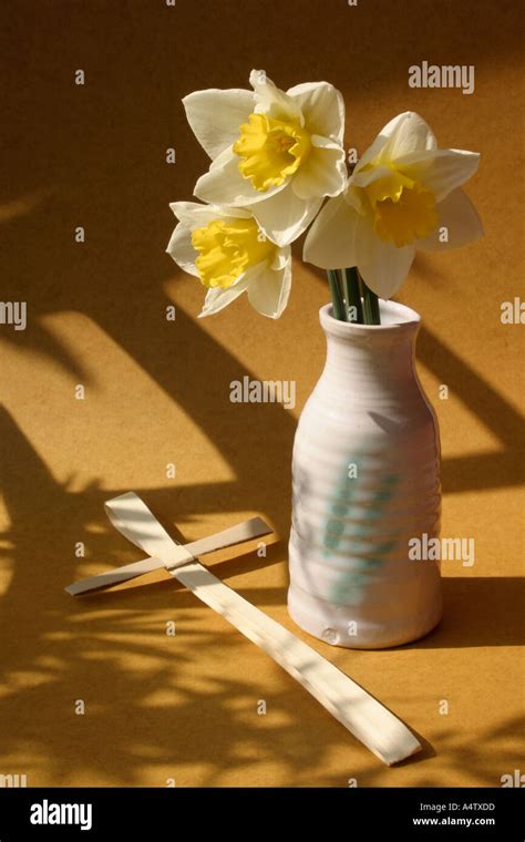 Palm Cross Daffodils Hi Res Stock Photography And Images Alamy