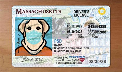 Massachusetts Drivers License Template New V2 Blank Psd