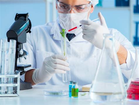 Biotechnology Concept With Scientist In Lab Stock Image Image Of