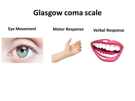 Glasgow Coma Scale Assessment