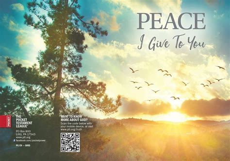 Product Details For Gospel Peace I Give To You Large Print