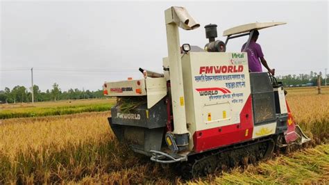 Amazing Rice Harvesting Machine Rice Cutter Machine Youtube