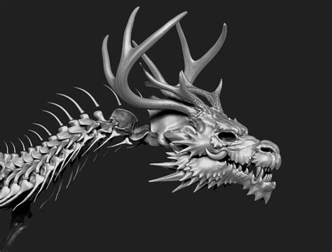 Artstation 我的兽型中国龙，骨骼 My Chinese Dragon Skeleton In 2022 Snake