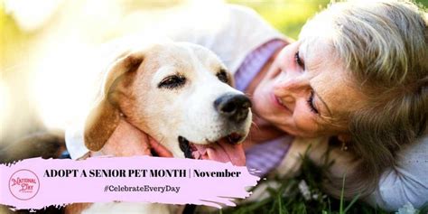 Adopt A Senior Pet Month November National Day Calendar