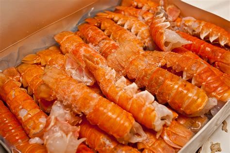Lobster Season In Iceland 2024 Roveme