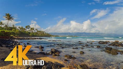 4k4k Hdr Maui Island Relaxation Video Part 2 Proartinc