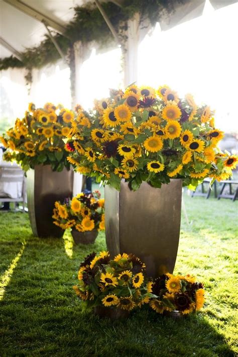 Sunflowers Wedding Flower Centerpieces And Decor Wedding