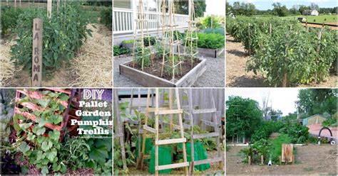 diy plant supports  cages     summer garden diy crafts