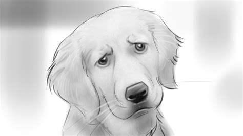 Sad Dog Drawing At Explore Collection Of Sad Dog