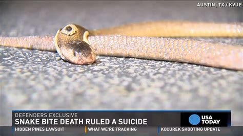 Teens Death Ruled Suicide By Snakebite