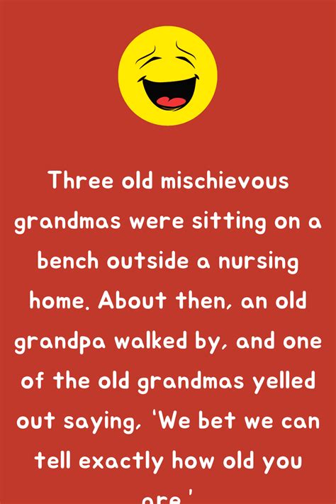 Three Old Mischievous Grandmas Joke Book