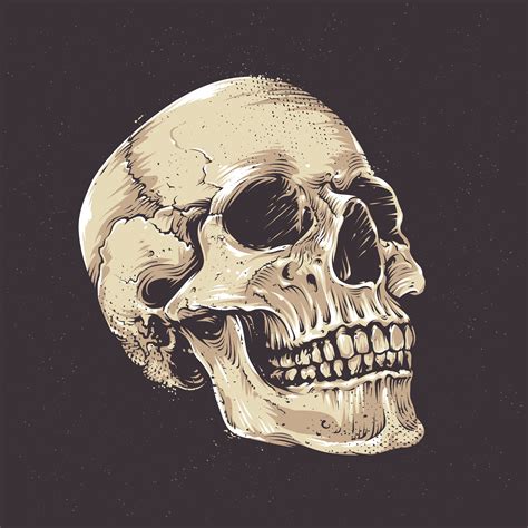 Anatomic Grunge Skull 305257 Vector Art At Vecteezy