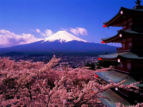 Hd Wallpapers For Theme Mount Fuji Hd Wallpapers Backgrounds Images