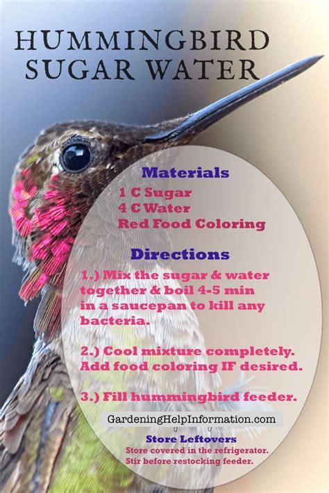 Hummingbird Sugar Water Recipe Food Coloring Not Needed Hummingbirds