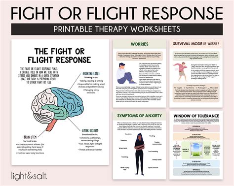 The Fight Or Flight Response Workbook Therapy Worksheets Etsy Uk