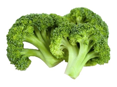 Broccoli Png Images Transparent Free Download Pngmart