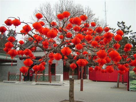 Chinese New Year Tree Art Installation In Beijing