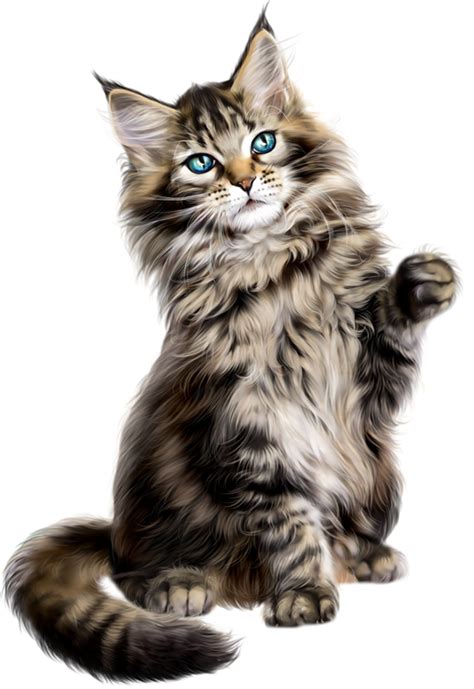 You might want to pick some distinguished (yet cute) female names that are fitting for this breed. Library of himalayan persian cat clip art royalty free ...