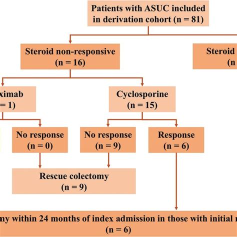 Flowchart Showing The Treatment And Outcome Of Patients With Acute