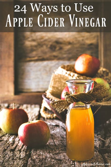 29 Ways To Use Apple Cider Vinegar Melissa K Norris