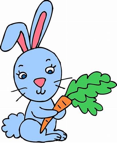 Rabbit Bunny Clip Easter Clipart Carrot Bunnies