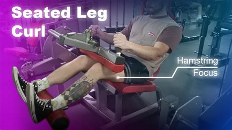 Seated Leg Curl How To Youtube