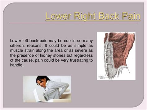 Lower left back pain has been one of the most widely spread reasons for individuals to seek medical support. Lower Left Back Pain
