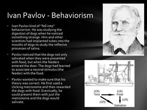 Ppt Introduction To Psychology Powerpoint Presentation Free Download Id