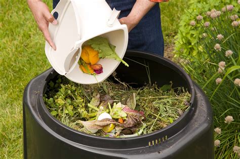 Preparing Compost For Kitchen Garden At Home Beginners Guide