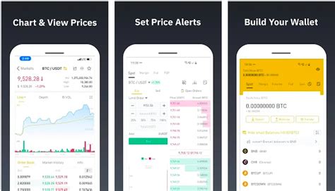After choosing the nationality, click start. How to Use Binance App (iOS and Android) - Full Review ...
