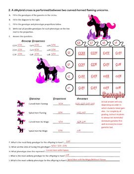 Ggbb gray fur red eyes ggbb white fur black while we talk concerning dihybrid worksheet with answer key, below we will see several related images to complete your references. Dihybrid Crosses (F1 Dihybrid Cross Worksheet) by Cynthia ...