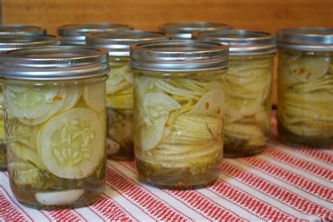 Canning 101 Lemon Cucumber Pickles — Seedsheet