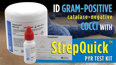 Strepquick Pyr Test Kit By Hardy Diagnostics For Rapid Group A Strep
