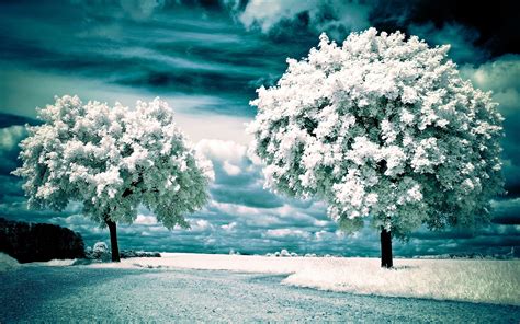 Winter And Snow Wallpaper Pixelstalknet