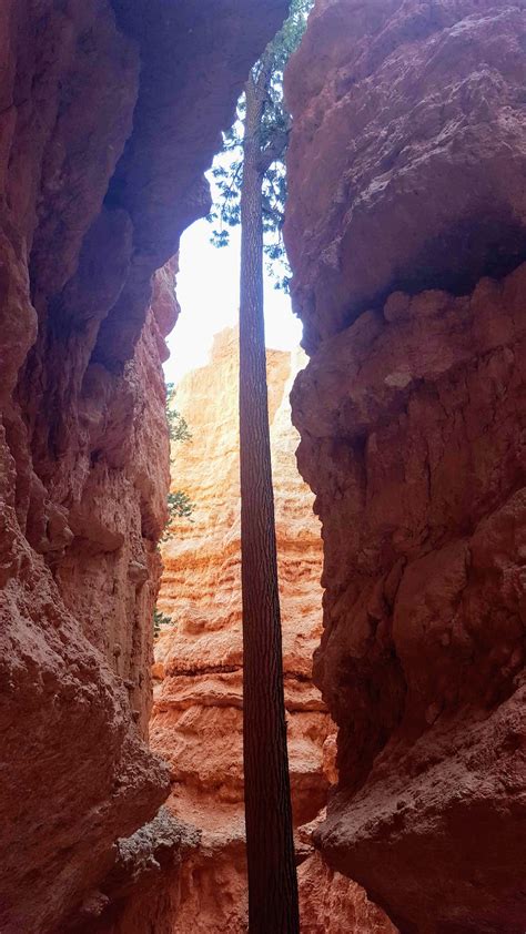 Beautiful Bryce Canyon National Park Exploring Utah Trixie Navarre
