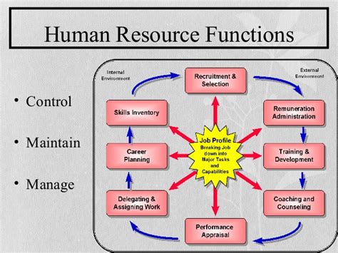 These include recruitment, performance management, learning and development, and many more. Hcs341 week 5 human resource management power point