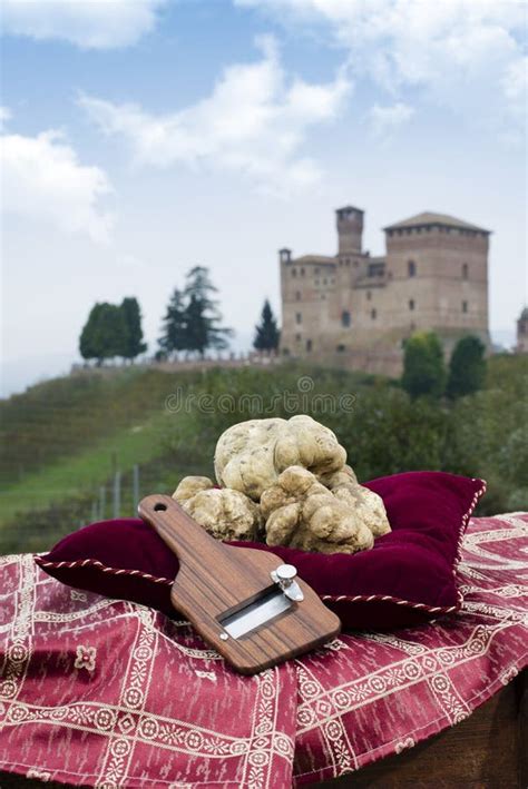 White Truffles From Piedmont Italy Stock Image Image Of Delicacy