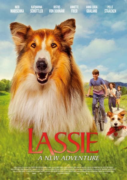 lassie a new adventure lassie ein neues abenteuer cineuropa