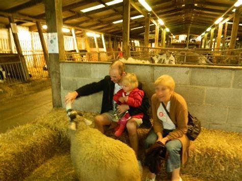 Smithills Open Farm Bolton 2021 All You Need To Know Before You Go With Photos Tripadvisor