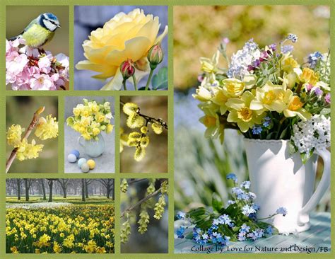 Spring ~ Beautiful Collage Beautiful Flowers Color Collage