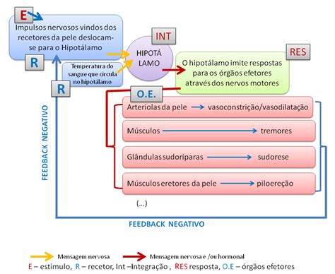 Biologia 10º