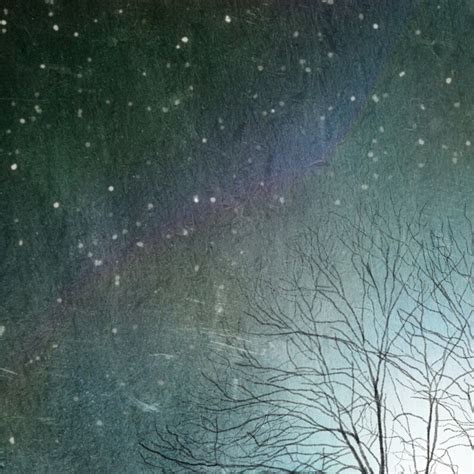 Starry Starry Night Tree Art Printblue Tree Art Print Giclee Print