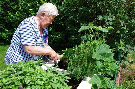 We did not find results for: Gartenarbeit erleichtern - Tipps & Hilfsmittel für Ihr Hobby