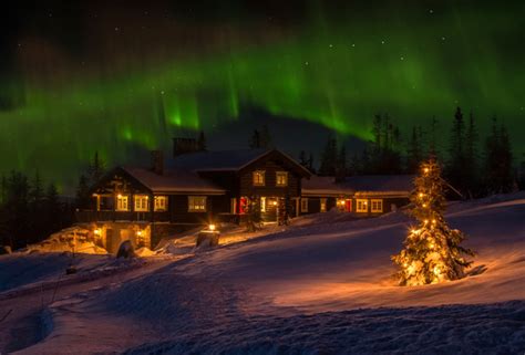 Wallpaper Northern Lights Norway Winter Christmas Tree