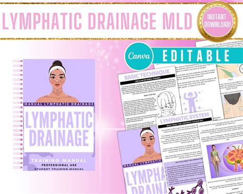 Lymphatic Drainage Massage Canva Training Manual Editable Etsy